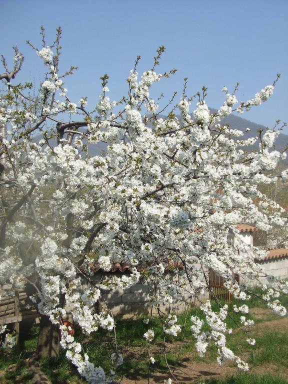 Villa Agriturismo Cascina Rossano à Provaglio d'Iseo Extérieur photo