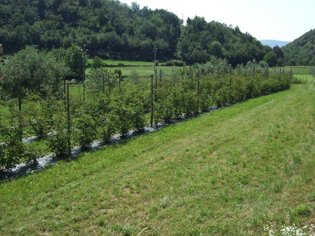 Villa Agriturismo Cascina Rossano à Provaglio d'Iseo Extérieur photo